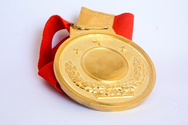 medal-390549_640